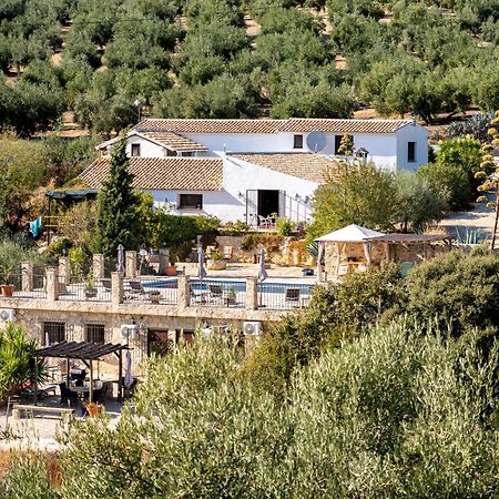 Hacienda La buena vida B&B en appartementen casita la bruja Algarinejo Habitación foto