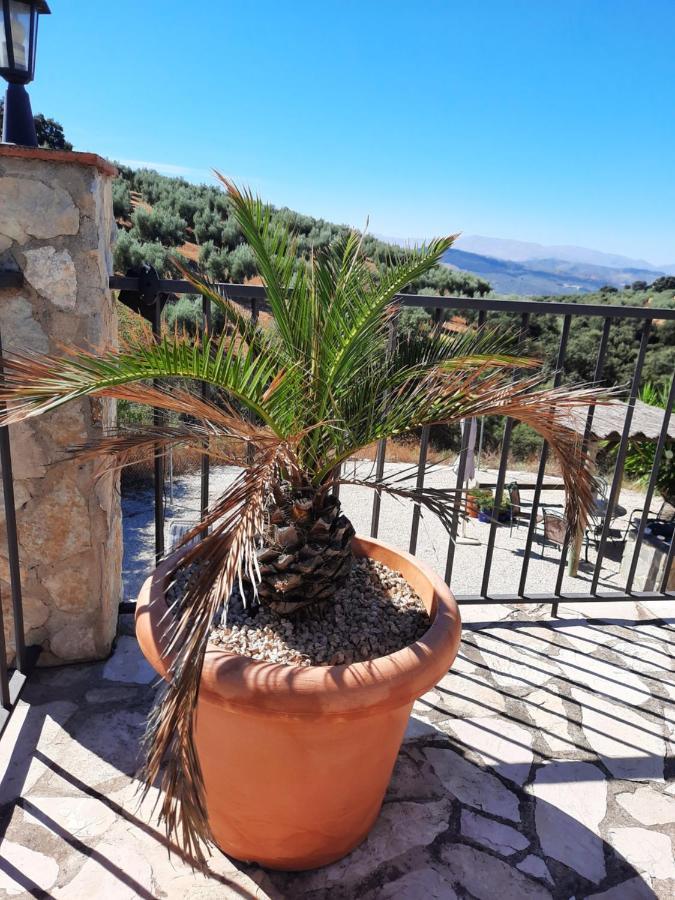 Hacienda La buena vida B&B en appartementen casita la bruja Algarinejo Exterior foto