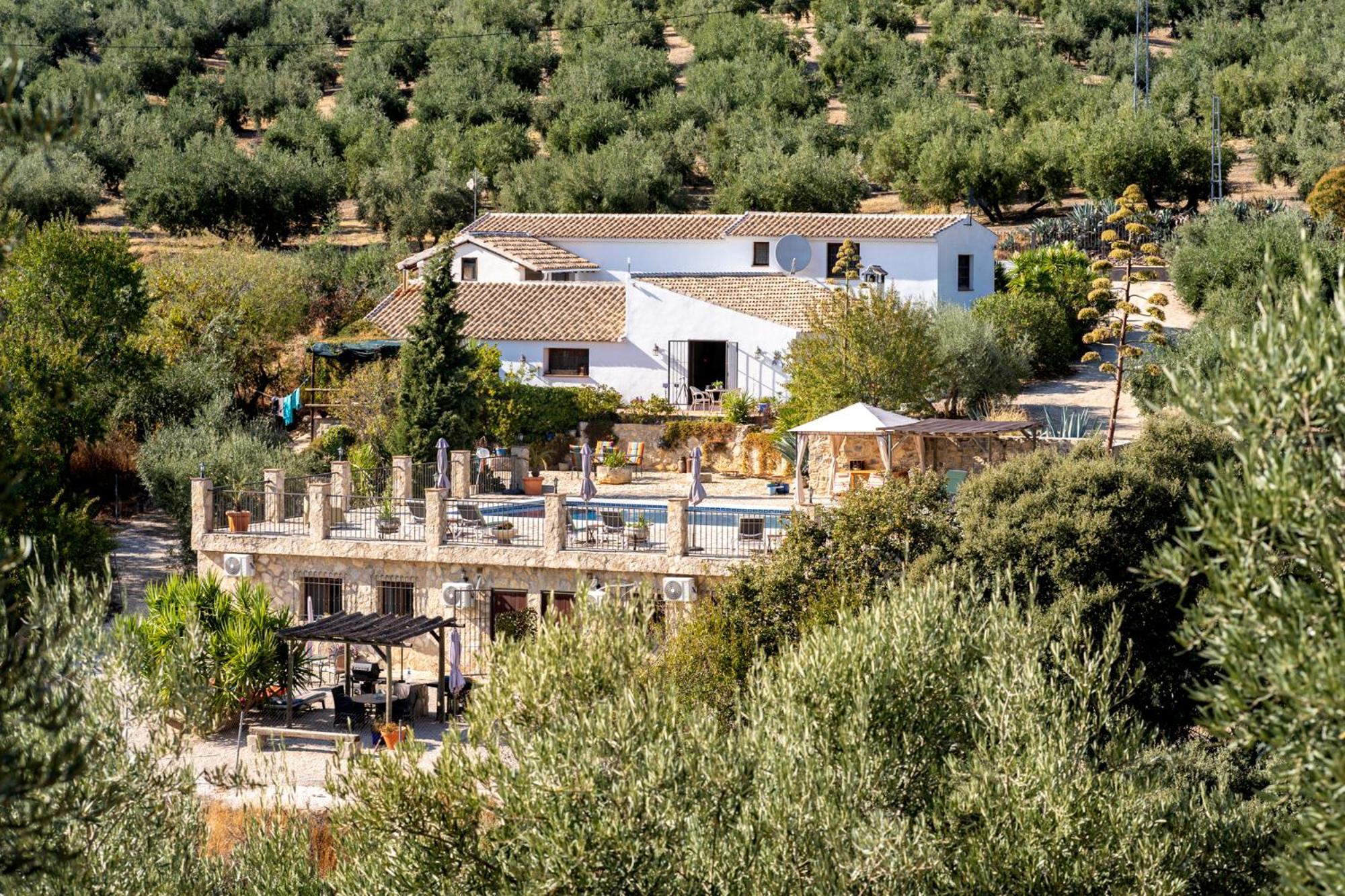 Hacienda La buena vida B&B en appartementen casita la bruja Algarinejo Habitación foto